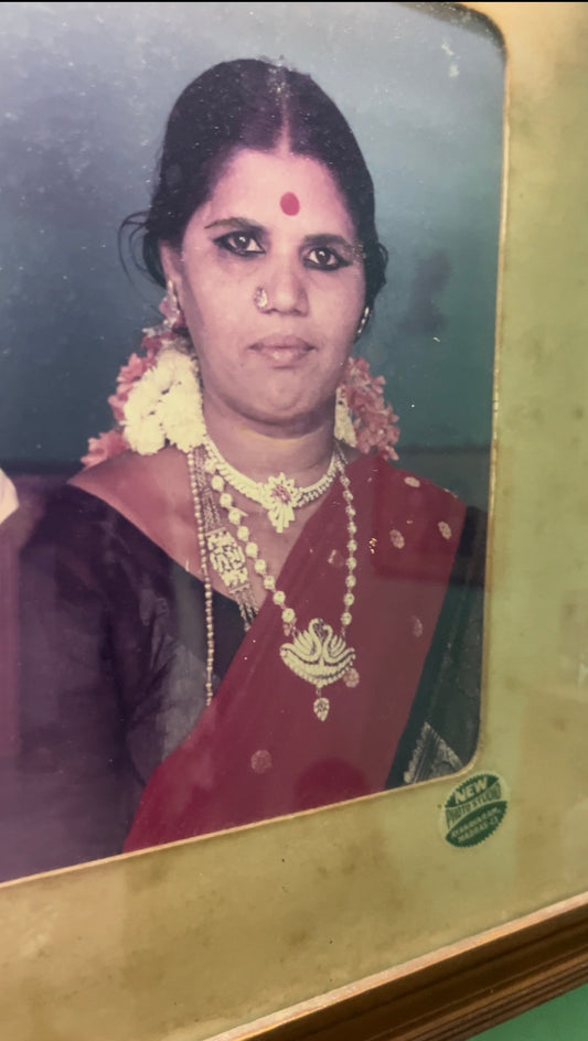 Ammamma-inspried annam haaram