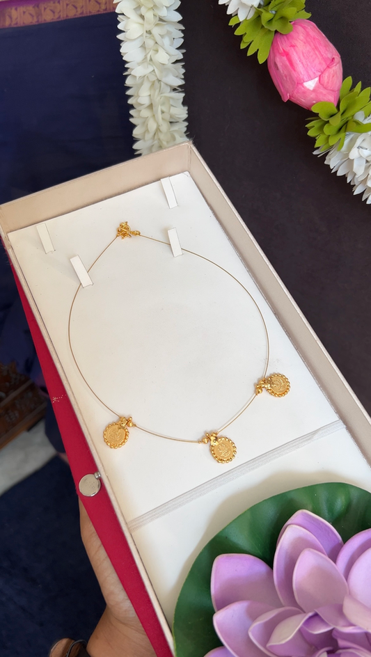 Lakshmi coin invisible