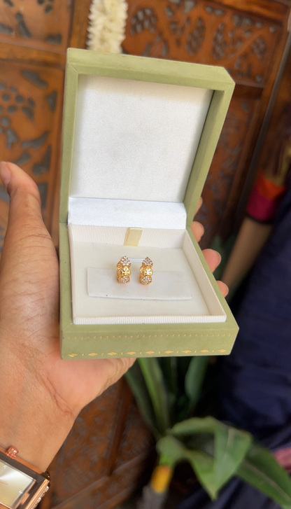 Hoop earings