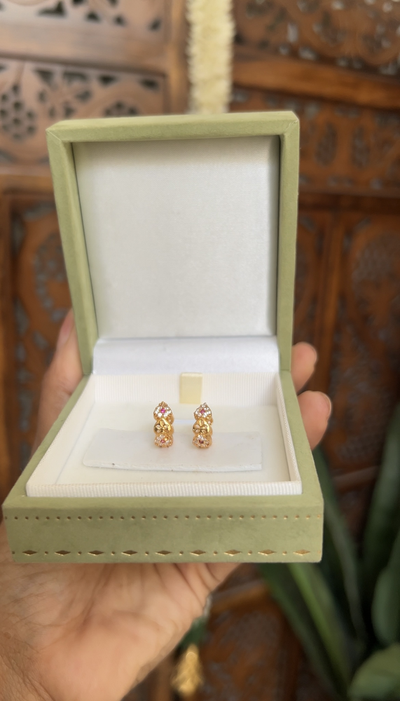 Hoop earings