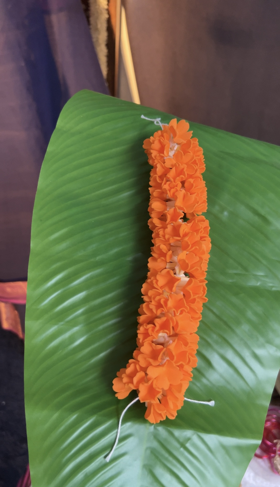 Kanagambaram (7.5 inch)