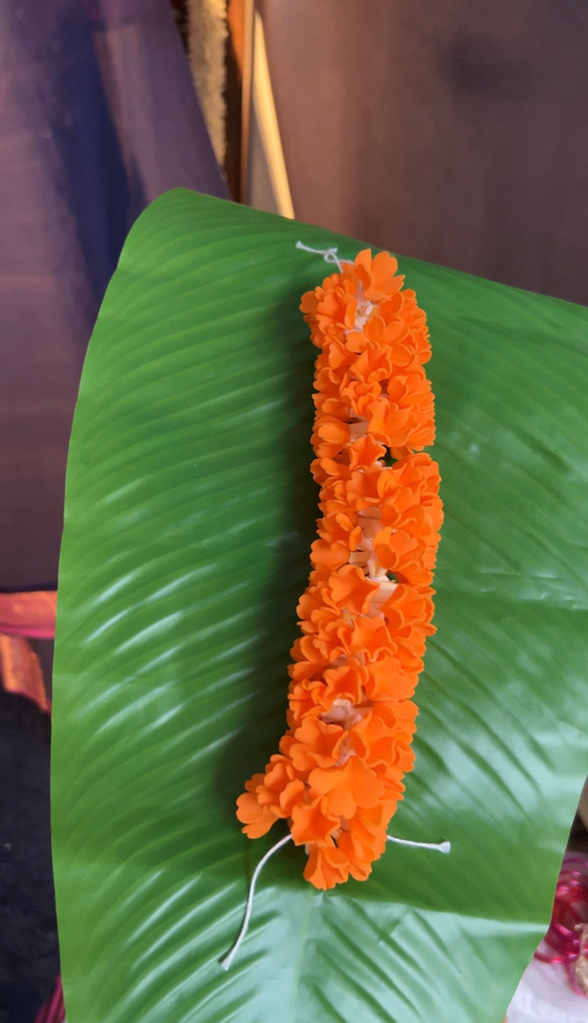 Kanagambaram (7.5 inch)