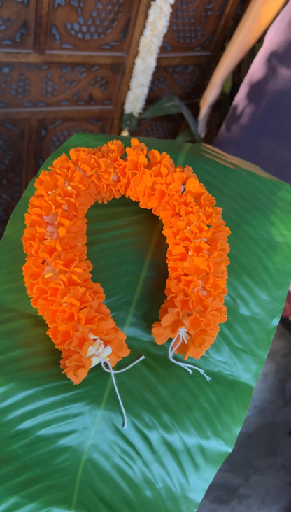 Kanagambaram (17 inch)