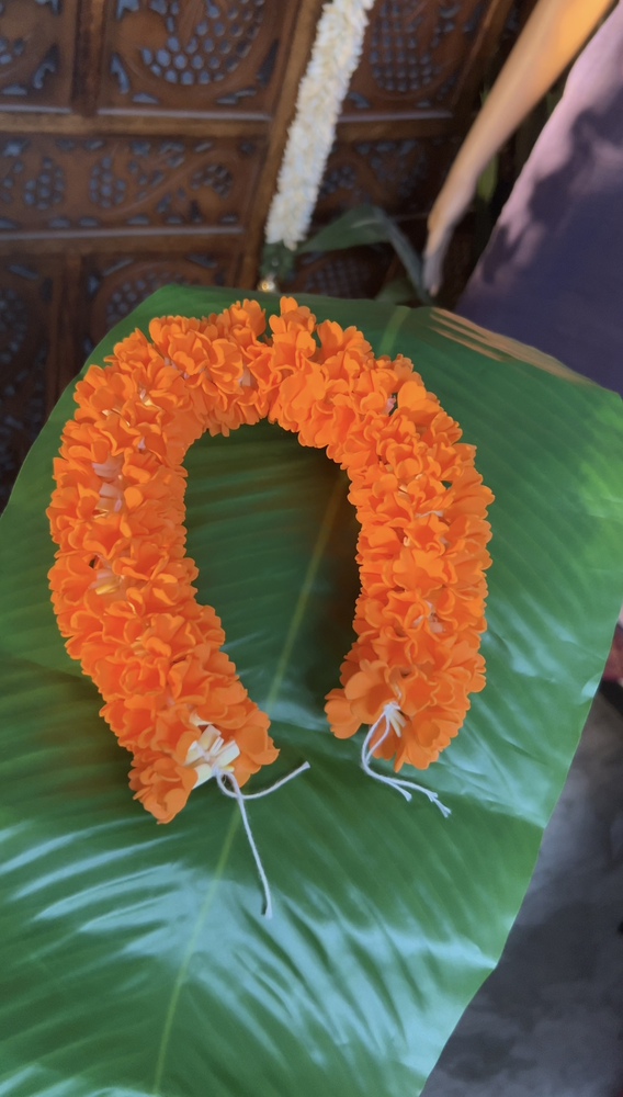 Kanagambaram (17 inch)