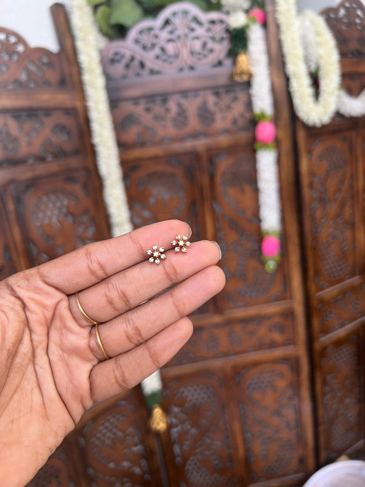 Earstud - trivia