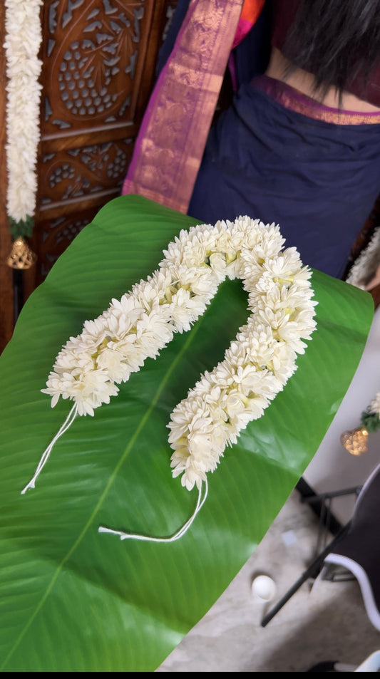 Pichi -mullai poo