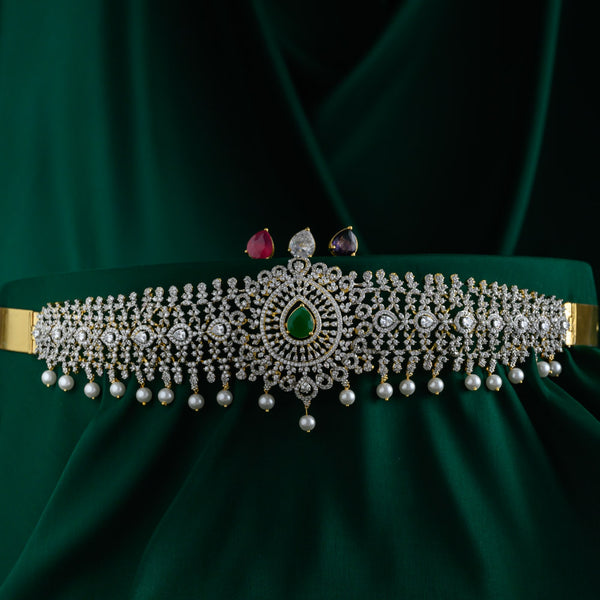 Interchangeable hipbelt